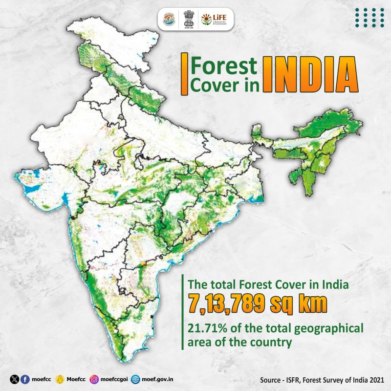 100 Million Sqft of Urban Forests Created